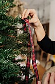 Crop unrecognizable person decorating green Christmas tree in light room in daytime