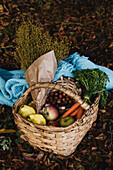 Von oben Weidenkorb mit reifem frischem buntem Gemüse und Obst in Komposition mit Kräutern und Haselnuss auf dem Boden stehend zwischen braunem trockenem Laub neben warmem blauen Plaid im Herbstgarten
