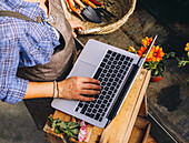 From above side view of crop woman in apron standing at wooden counter with tools and margarita flowers and working with laptop while searching agriculture business information