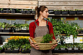 Woman in apron looking at camera smiling carrying wicker basket with gardening tools and potted sprouts while working in hothouse