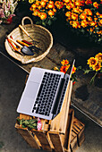 From above side view of crop woman in apron standing at wooden counter with tools and margarita flowers and working with laptop while searching agriculture business information