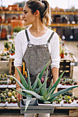young female gardener in apron carrying tray with green succulent plants with potted cactus in greenhouse
