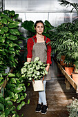 Woman carrying potted green plant while working in hothouse