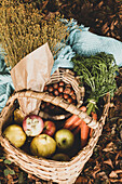 From above wicker basket with ripe fresh colorful vegetables and fruits in composition with herbs and hazelnut standing on ground among brown dry foliage beside warm blue plaid in autumn garden
