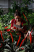 Cheerful young woman in apron spraying clean water on bright tropical flowers and smiling during work in hothouse