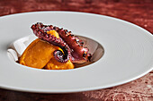 Grilled delicious octopus tentacle with mashed potatoes served on white ceramic plate placed on table