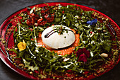 Yummy burrata cheese on cold tomato cream with arugula leaves and cherry tomatoes with truffles and peanuts