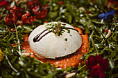 Leckerer Burrata-Käse auf kalter Tomatencreme mit Rucolablättern und Kirschtomaten mit Trüffeln und Erdnüssen