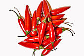 Draufsicht auf eine Komposition mit roten, frischen, exotischen Paprikaschoten, die als Gewürz zum Würzen von Speisen verwendet werden, auf weißem Hintergrund
