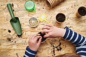 High angle of crop anonymous kid planting seedling in cardboard cup with ground at table with gardening shovel