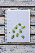 From above of raw green beans and pen placed on notepad on wooden table