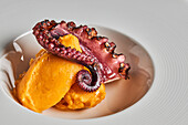 Gegrillter Oktopus-Tentakel mit Kartoffelpüree auf weißem Keramikteller serviert