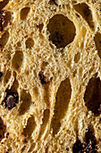 Textured background of closeup porous surface of cut raisin bread of yellow color