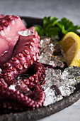 From above of delicious appetizing cooked octopus placed on round ceramic plate with ice cubes and lemon