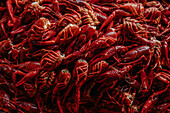 From above full frame background of pile of red shell covered freshwater or marine animal with claws