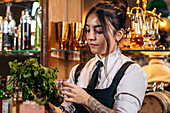 Young brunette in uniform pinching off mint leaves from bunch while preparing cocktail during work in pub