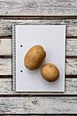 Top view of two potatoes placed on opened notepad with blank pages on wooden table