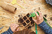 From above of crop anonymous kid with seed dispenser digging holes in biodegradable container with soil