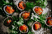 Top view of delicatessen exquisite oysters in shells with sea salt seaweed and caviar
