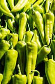 From above full frame of ripe raw green anaheim peppers placed together on stall in local market with bright sunlight