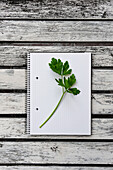 Blick von oben auf einen grünen Zweig frischer Petersilie, der auf einem aufgeschlagenen Notizblock mit leeren Seiten auf einem Holztisch liegt
