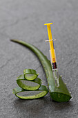 Piece and leaf of aloe vera with syringe placed on gray background in studio