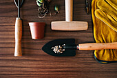 Flat lay of small home gardening instruments with gloves and flowerpot with plants on wooden table