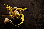 Top view layout of old onion bulbs with green sprouts placed together on black surface