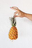 Crop unrecognizable person demonstrating whole fresh ripe pineapple on sunny day against white background