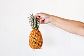 Crop unrecognizable person demonstrating whole fresh ripe pineapple on sunny day against white background