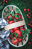 Draufsicht auf einen Korb mit einem Strauß frischer Tomaten und einer karierten Serviette, der an einem Sommertag auf einer Wiese im Garten steht
