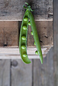 From above closeup view of fresh opened pod with shiny peas on wood