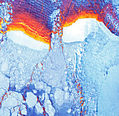 Warmth of seawater behind Antarctic icebergs, satellite image