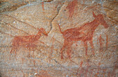 Ancient cave paintings