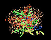 Haemoglobin, illustration