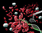 CRISPR treatment for sickle cell anaemia, conceptual illustration