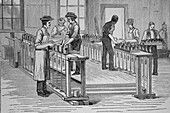 Cannery, 19th century illustration