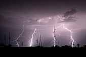 Thunderstorm with lightning strike, Arizona, USA