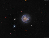 Barred spiral galaxy NGC 3367