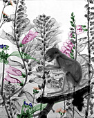 Squirrel perching on branch among flowers, X-ray