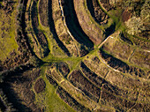Aerial view of Badbury Rings hill fort, Dorset, UK