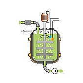 Bioreactor, illustration