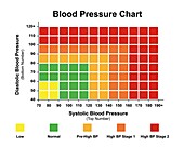 Blood pressure chart, illustration