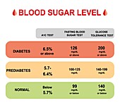 Blood sugar levels, illustration