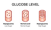 Blood glucose levels, illustration