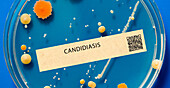 Candidiasis fungal infection