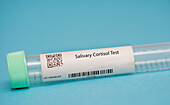 Salivary cortisol test