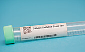 Salivary oxidative stress test