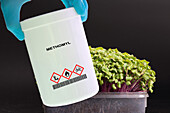 Container of methomyl insecticide