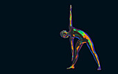 Yoga, illustration